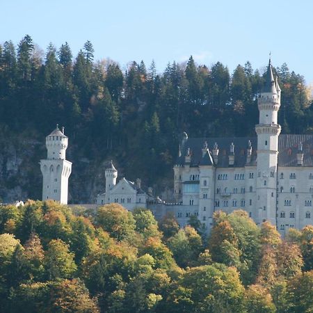 Villa Haflingerhof Appenstein Pinswang Esterno foto
