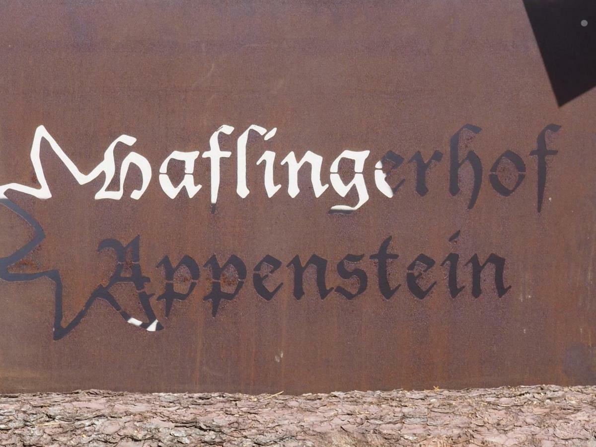 Villa Haflingerhof Appenstein Pinswang Esterno foto